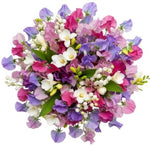 Colorful Sweet Pea and Freesias with Lily Of The Valley Bouquet - Flowers Box London