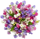 Colorful Sweet Pea and Freesias with Lily Of The Valley Bouquet - Flowers Box London