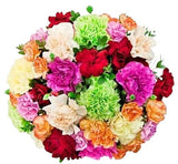 Coloured Carnations Bouquet - Flowers Box London