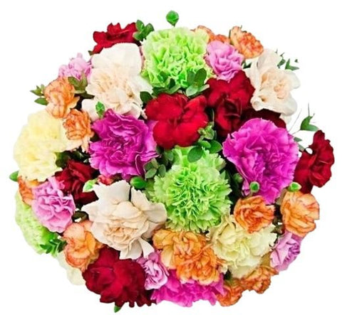 Coloured Carnations Bouquet - Flowers Box London