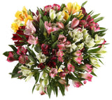 Colourful Aperitif Bouquet - Flowers Box London