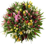 Colourful Aperitif Bouquet - Flowers Box London