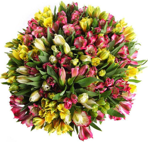 Colourful Aperitif Bouquet
