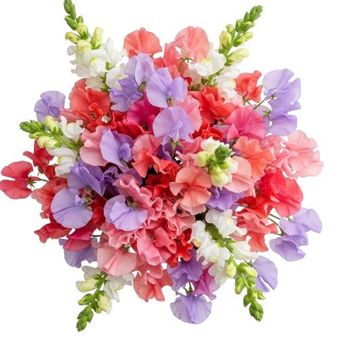 Colourful Sweet Pea with Snapdragon Bouquet