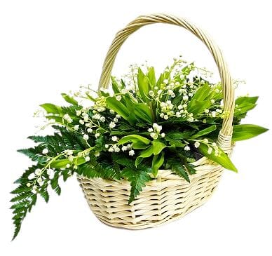 Convallaria Flower Basket with Lush Greenery