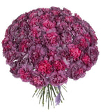 Copper Extasis Carnations Bouquet - Flowers Box London