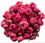 Coral Peonies Bouquet - Flowers Box London