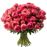 Coral Peonies Bouquet - Flowers Box London