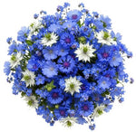 Cornflowers and Blue Forget Me Not Bouquet with Nigella