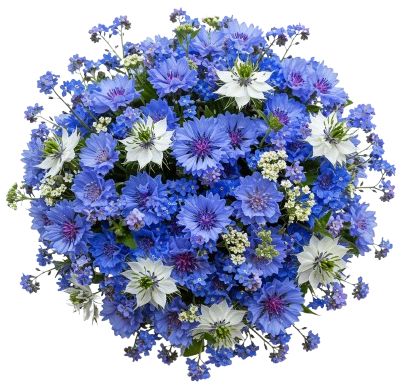 Cornflowers and Blue Forget Me Not Bouquet with Nigella