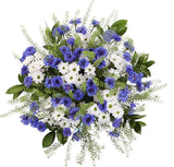 Cornflowers and White Santini Chrysanthemum Bouquet