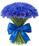 Cornflowers Bouquet - Flowers Box London