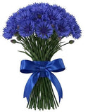 Cornflowers Bouquet - Flowers Box London