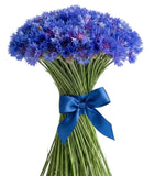 Cornflowers Bouquet - Flowers Box London