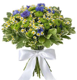 Cornflowers with Daisy Tanacetum Bouquet - Flowers Box London