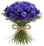 Cornflowers with Greenery Bouquet - Flowers Box London
