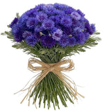 Cornflowers with Greenery Bouquet - Flowers Box London