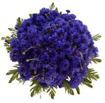 Cornflowers with Greenery Bouquet - Flowers Box London