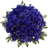 Cornflowers with Greenery Bouquet - Flowers Box London