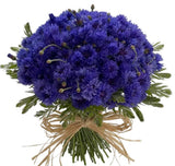 Cornflowers with Greenery Bouquet - Flowers Box London