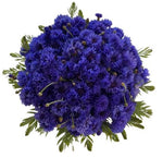 Cornflowers with Greenery in Box