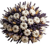 Country Charm Dried Bouquet - Flowers Box London