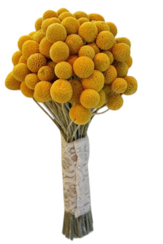 Craspedia Bridal Bouquet