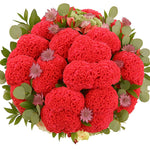 Crimson Celosia Bouquet