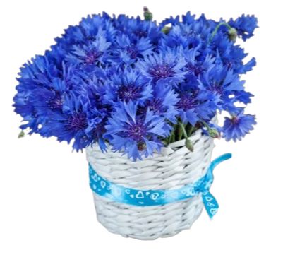 Cute Basket of Cornflowers