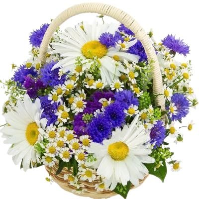 Cute Basket of Daisy and Cornflowers - Flowers Box London