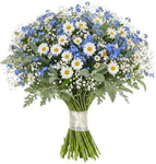 Cute Bouquet Daisies with Blue Forget Me Not