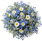Cute Bouquet Daisies with Blue Forget Me Not