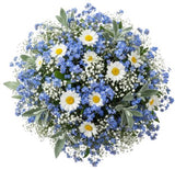 Cute Bouquet Daisies with Blue Forget Me Not