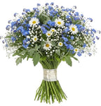 Cute Bouquet Daisies with Blue Forget Me Not