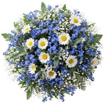 Cute Bouquet Daisies with Blue Forget Me Not