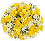 Cute Bouquet of Daffodils and Narcissus - Flowers Box London