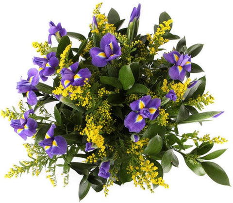 Cute Bouquet of Iris with Solidago