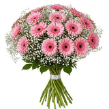 Cute Bouquet of Pink Gerberas with Gypsophila - Flowers Box London