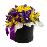 Cute Box of Mimosa and Iris - Flowers Box London