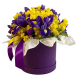 Cute Box of Mimosa and Iris - Flowers Box London