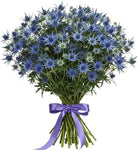 Cute Eryngium Bouquet - Flowers Box London