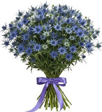 Cute Eryngium Bouquet - Flowers Box London