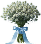 Cute Eryngium Bouquet - Flowers Box London
