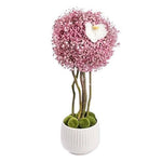 Cute Gypsophila Tree Arrangement - Flowers Box London