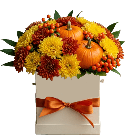 Cute Halloween Box of Chrysanthemum and Pumpkin - Flowers Box London