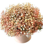Cute Peach Gypsophila Box - Flowers Box London
