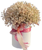 Cute Peach Gypsophila Box - Flowers Box London