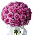 Cute Pink Dahlia Bouquet - Flowers Box London