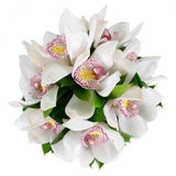 Cymbidium Orchids Bridal Bouquet