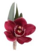 Cymbidium Orchids Buttonhole - Flowers Box London